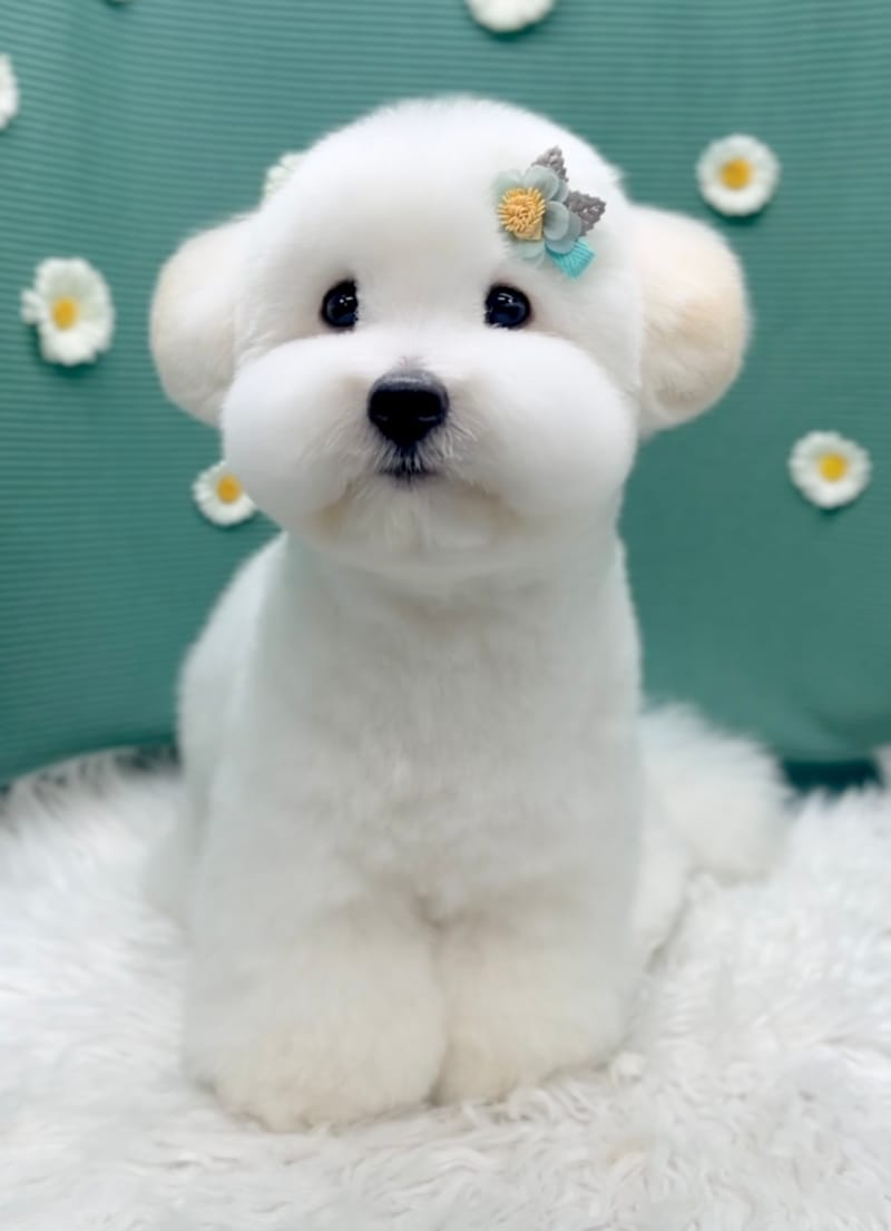 업체 정보 이미지 4